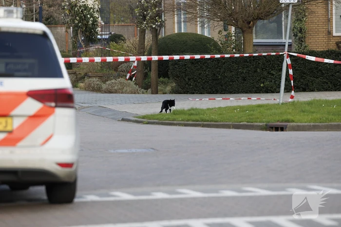 Zwaargewonde na steekpartij bij flat