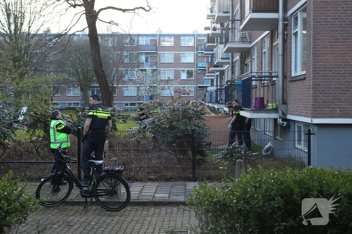 schietincident cornelie van zantenstraat den haag