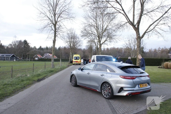 Automobilist botst frontaal op boom