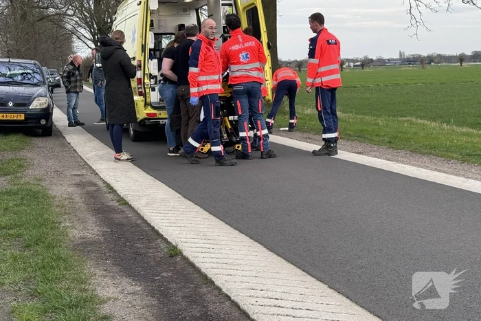 Traumateam ingezet nadat man uit boom valt