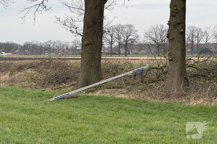 Traumateam ingezet nadat man uit boom valt