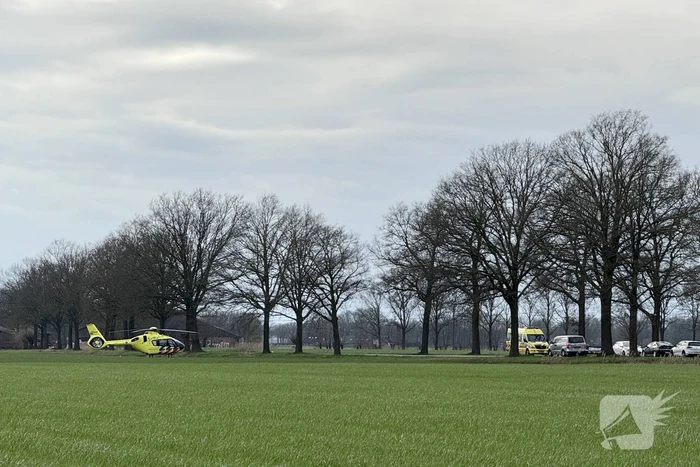 Traumateam ingezet nadat man uit boom valt
