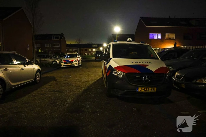 Vier mannen overvallen woning en slaan op vlucht