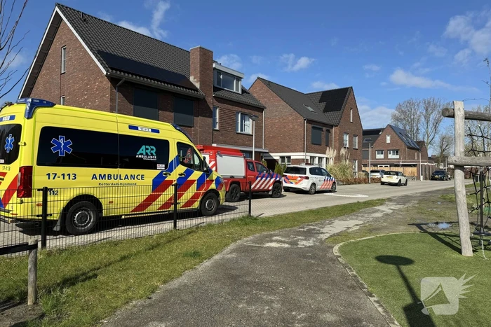 nieuws atletiekbaan hellevoetsluis