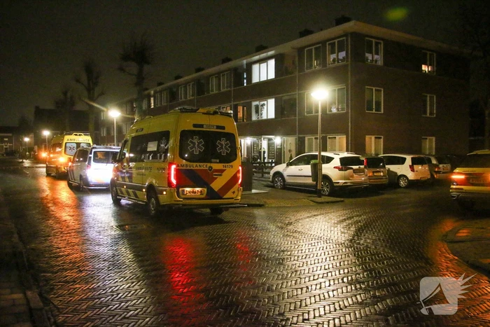 nieuws van leeuwenstraat noordwijk