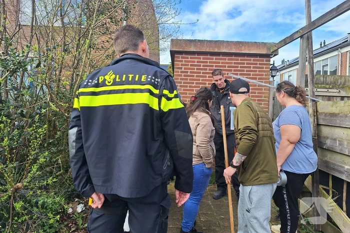Giftige ontsnapt cobra eindelijk gevangen