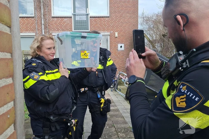 nieuws sont lelystad