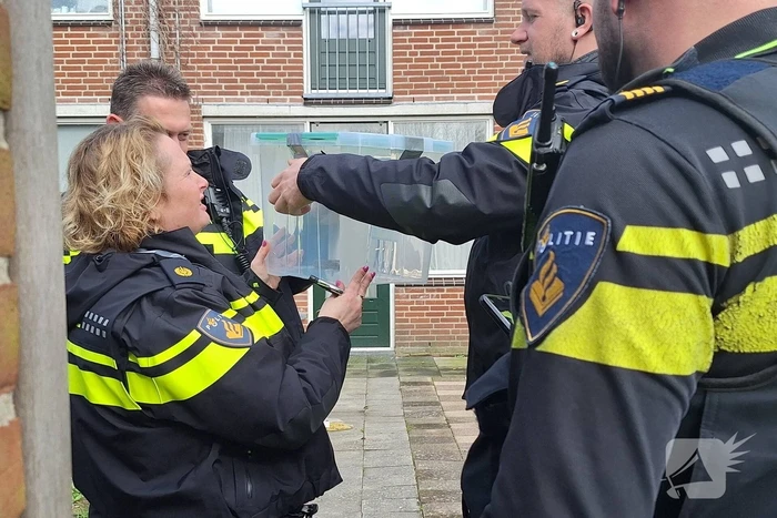 Giftige ontsnapt cobra eindelijk gevangen