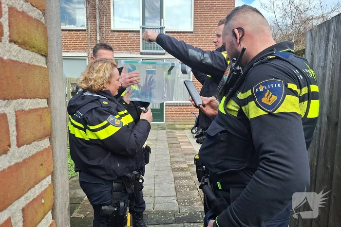 Giftige ontsnapt cobra eindelijk gevangen