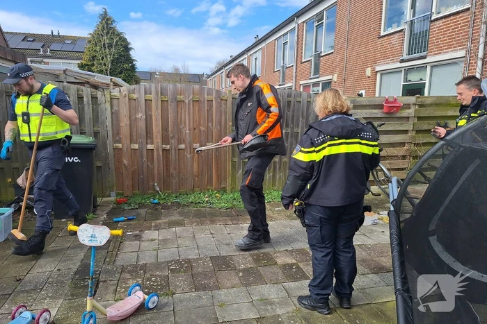 Giftige ontsnapt cobra eindelijk gevangen