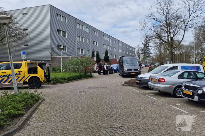 nieuws noorderbreedte amsterdam