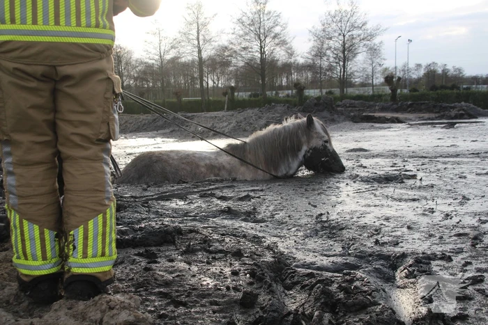 nieuws kooltuinweg valkenburg