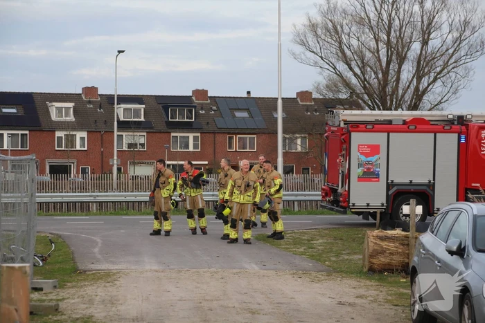Paard muurvast in modderpoel