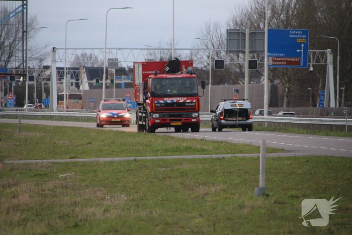 Paard muurvast in modderpoel