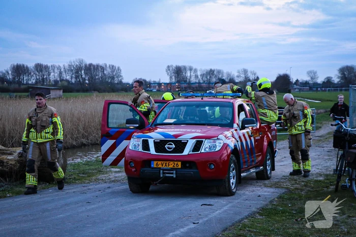 Paard muurvast in modderpoel