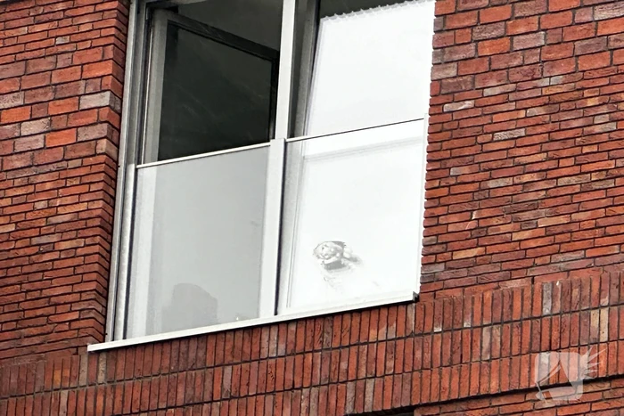 Vogel vast tussen kiepraam en balustrade