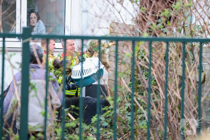 Poes springt van dak tijdens reddingsactie brandweer