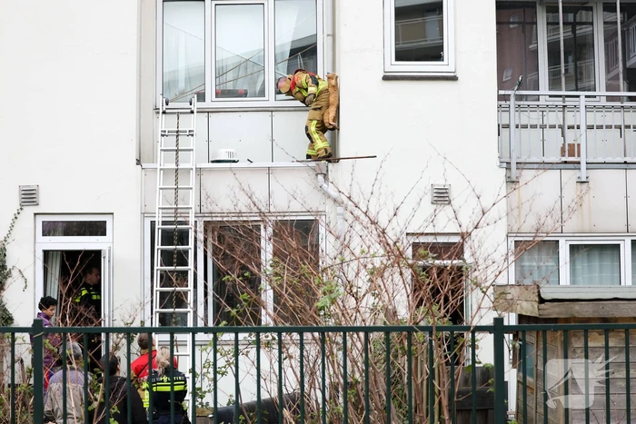 Poes springt van dak tijdens reddingsactie brandweer