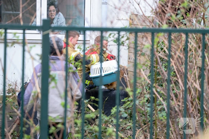 Poes springt van dak tijdens reddingsactie brandweer