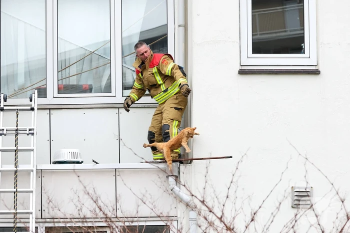 nieuws rosenveldtstraat rotterdam