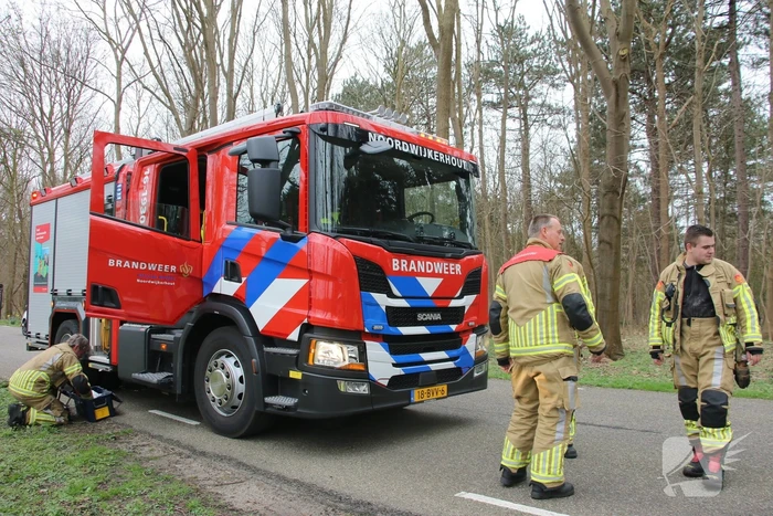 Brandweer bevrijdt schaap uit benarde positie