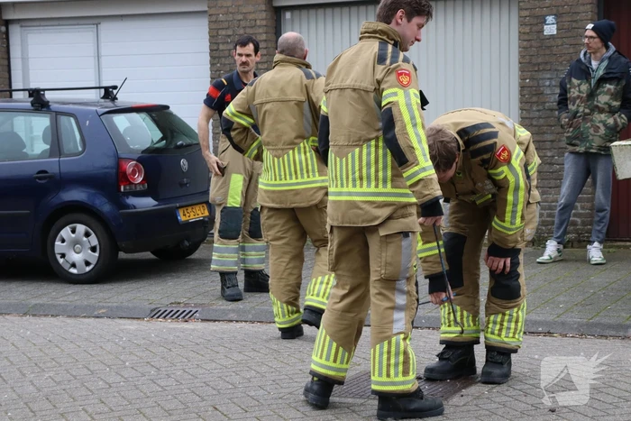 Wederom onderzoek naar terpentine achtige lucht