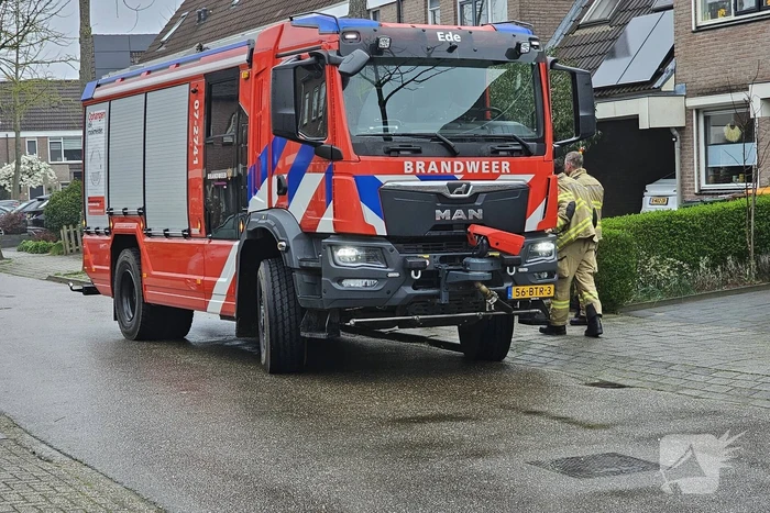 Brandweer schudt kat uit boom