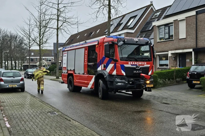 Brandweer schudt kat uit boom