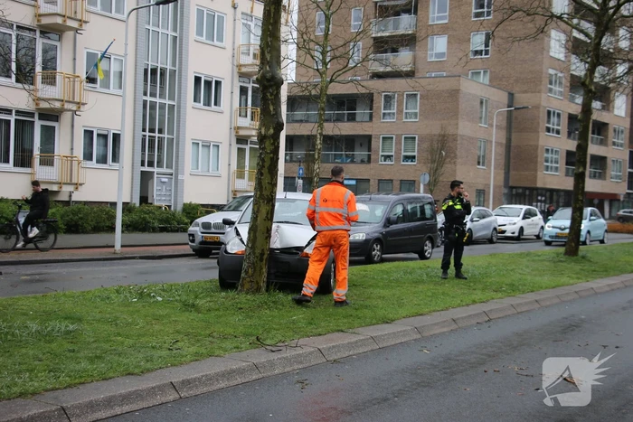Automobilist klapt op boom