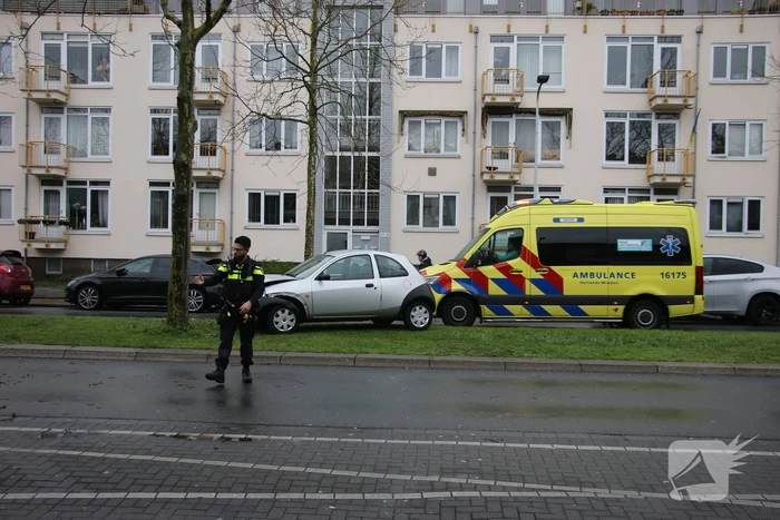 Automobilist klapt op boom