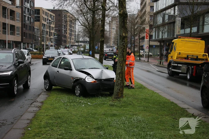 Automobilist klapt op boom