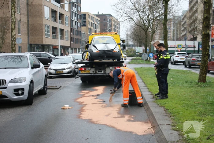 Automobilist klapt op boom
