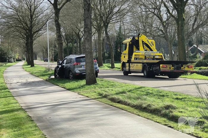 Flinke schade bij eenzijdig ongeval tegen boom