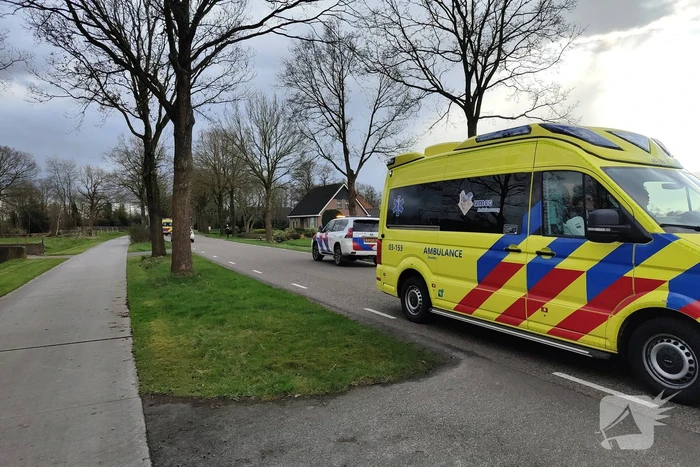 Flinke schade bij eenzijdig ongeval tegen boom