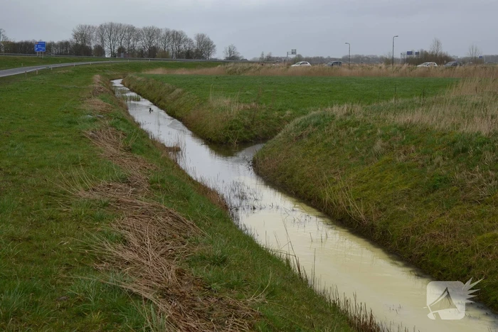 Vrachtwagen met melk kantelt
