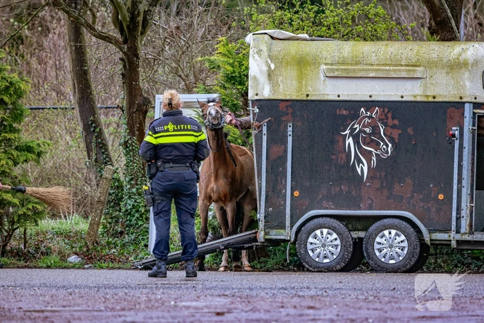 nieuws weg op de egelshoek hilversum