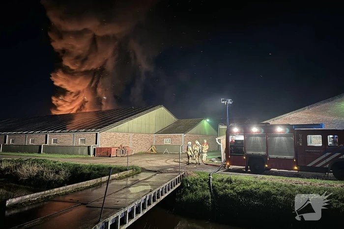 Uitslaande brand in stal, brandweer probeert dieren te redden