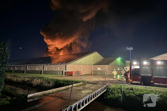 Uitslaande brand in stal, brandweer probeert dieren te redden