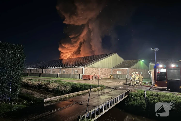 Uitslaande brand in stal, brandweer probeert dieren te redden