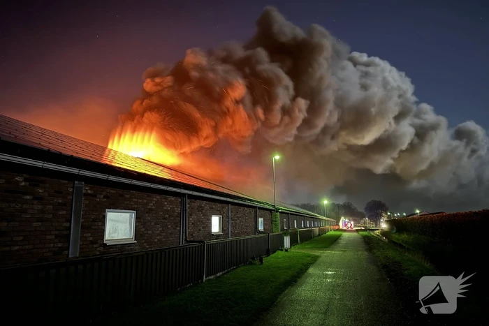 Uitslaande brand in stal, brandweer probeert dieren te redden