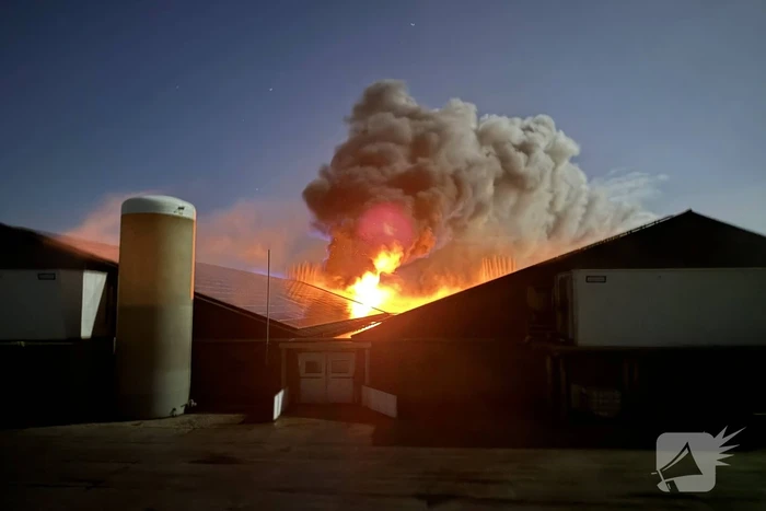 Uitslaande brand in stal, brandweer probeert dieren te redden