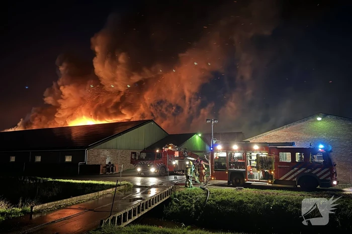 brand molenakker boekel