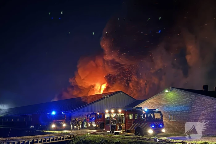 Uitslaande brand in stal, brandweer probeert dieren te redden