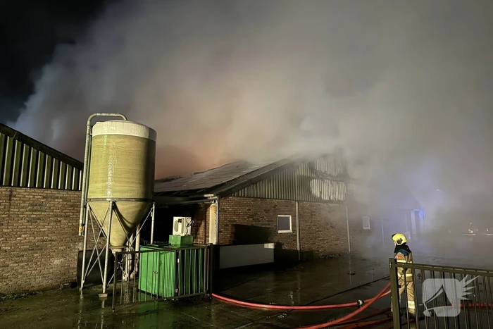 Uitslaande brand in stal, brandweer probeert dieren te redden