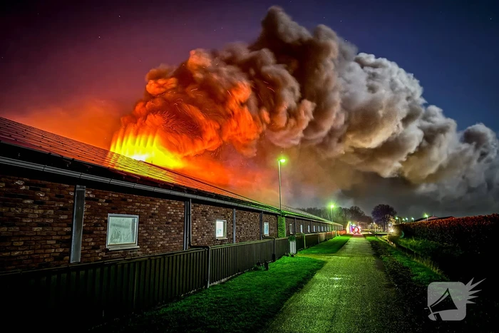 Uitslaande brand in stal, brandweer probeert dieren te redden