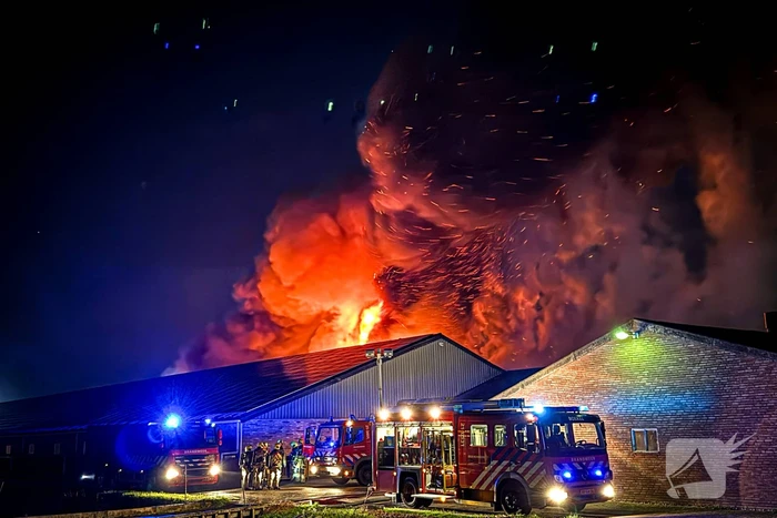 Uitslaande brand in stal, brandweer probeert dieren te redden