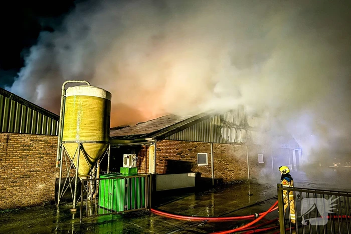 Uitslaande brand in stal, brandweer probeert dieren te redden