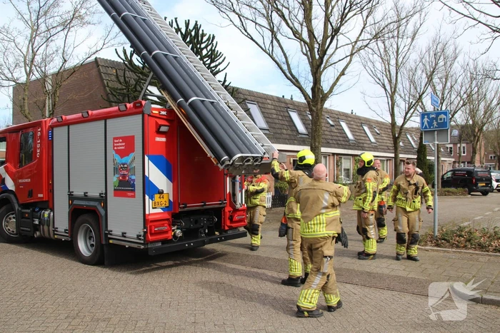 Brandweer ingezet voor vastzittende vogel