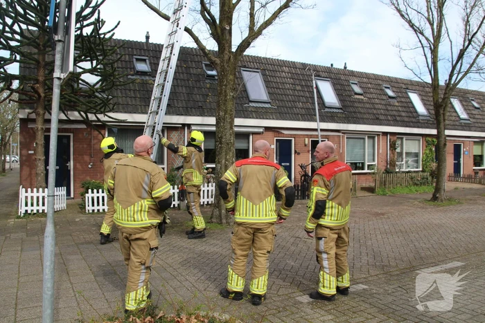 Brandweer ingezet voor vastzittende vogel