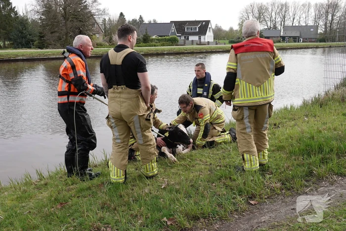 Brandweer 'vist' Pink uit water